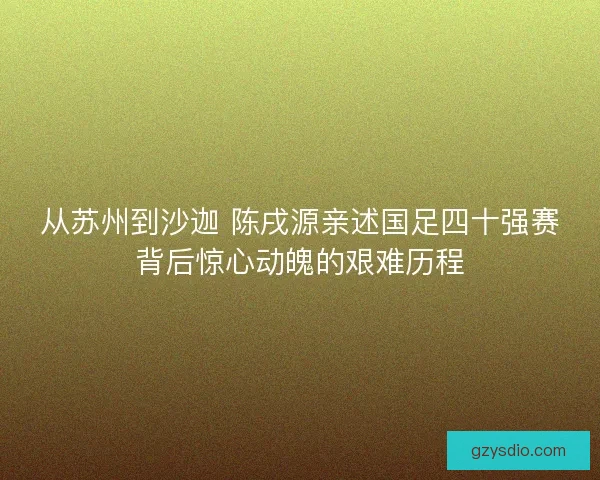 从苏州到沙迦 陈戌源亲述国足四十强赛背后惊心动魄的艰难历程