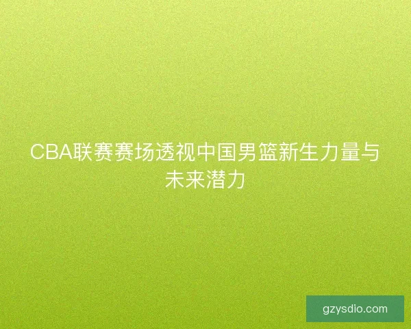 CBA联赛赛场透视中国男篮新生力量与未来潜力